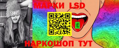 дмт Донской