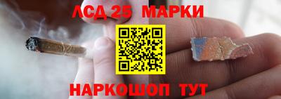 гашик Донецк