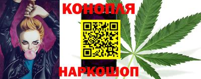 гашик Донецк