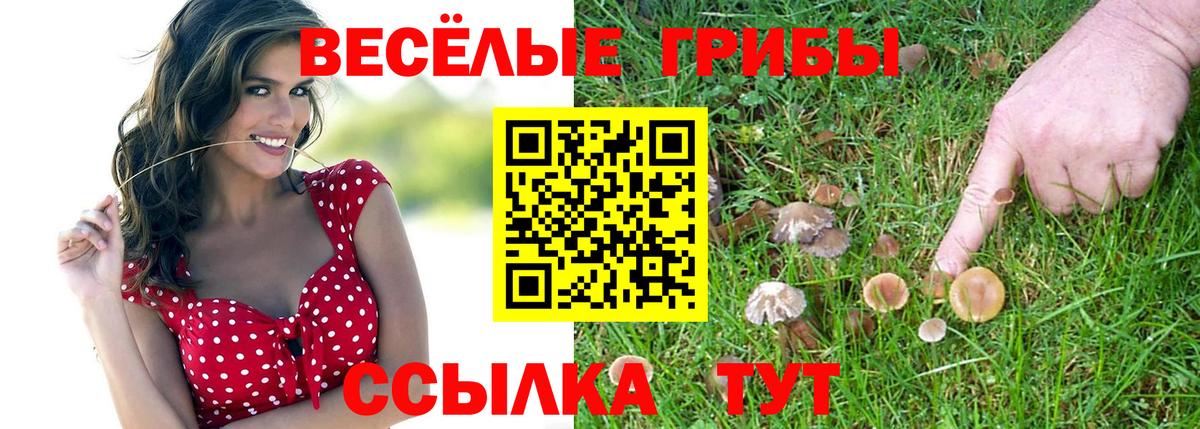Новоалтайск  Псилоцибиновые грибы Psilocybine cubensis  Вход с VPN  Псилоцибиновые грибы MAGIC MUSHROOMS 